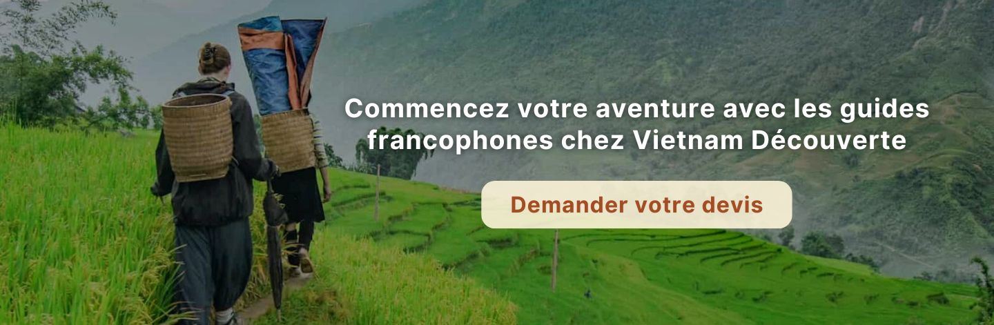 Guide francophone Vietnam
