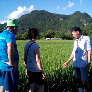 Guide francophone Vietnam