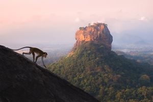 Le rocher du Lion à Sigiriya