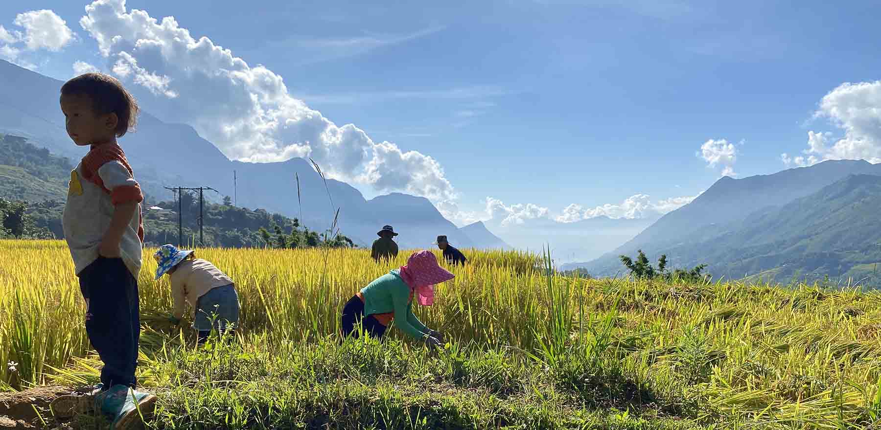 Multiples visages du Vietnam 21 jours
