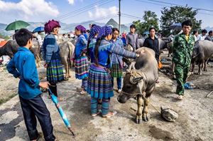 Un marché hebdomadaire à Bac Ha