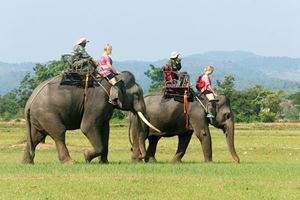 Balade à dos d'éléphant, Tay Nguyen