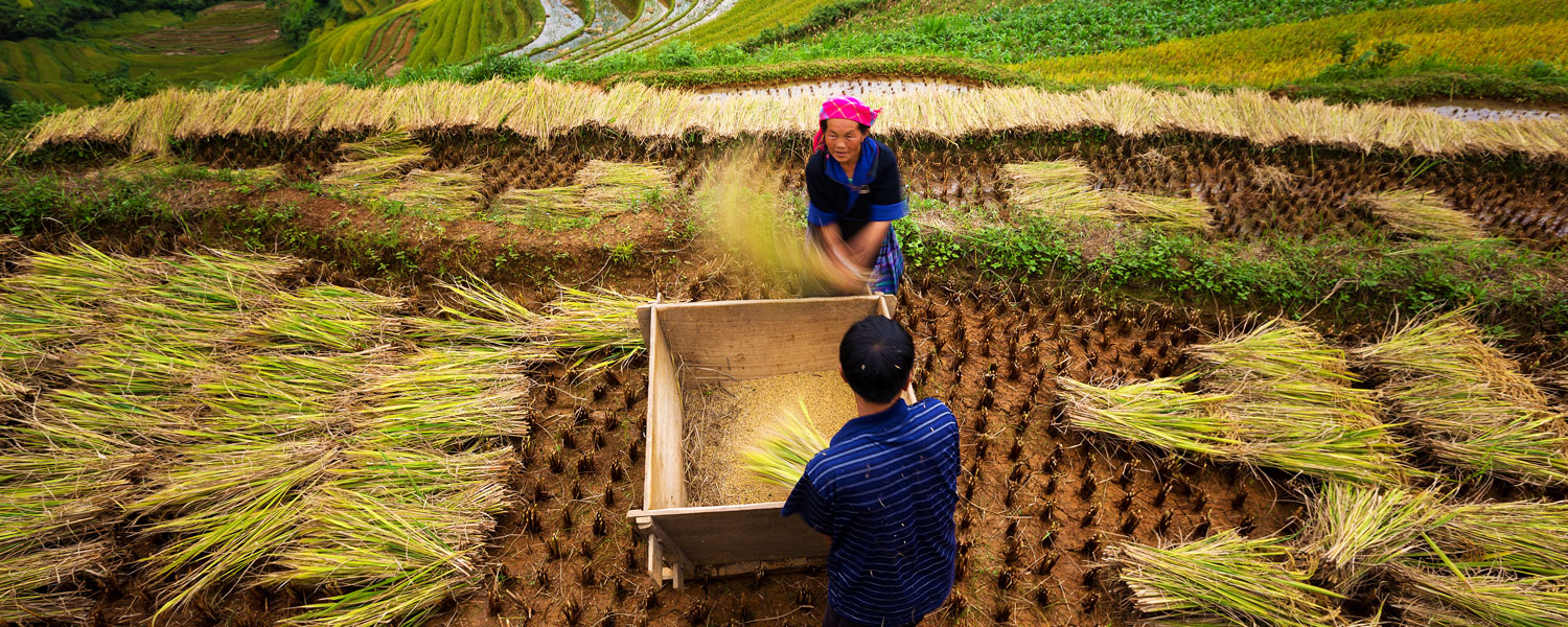 Grande traversée du Vietnam 21 jours