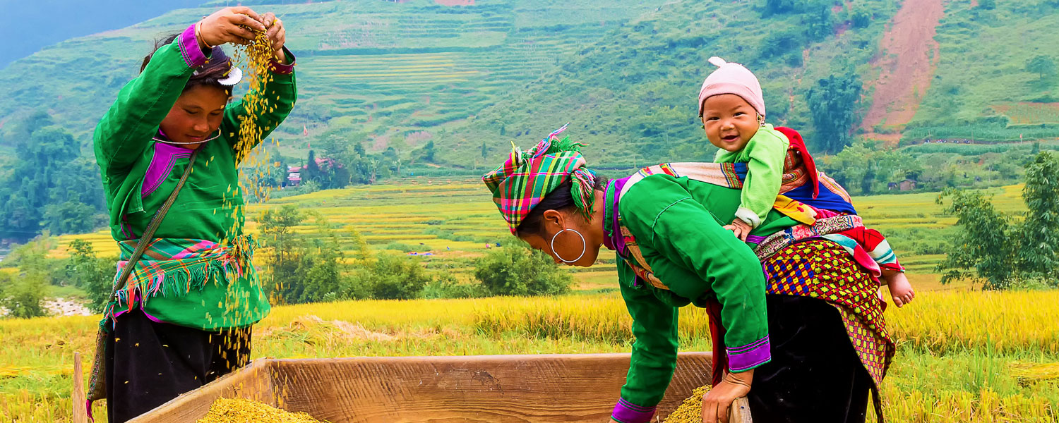Des montagnes de Sapa à la baie d’Halong 8 jours