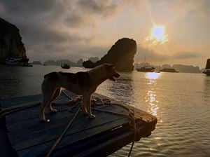 Un petit village dans la baie d'Halong  10