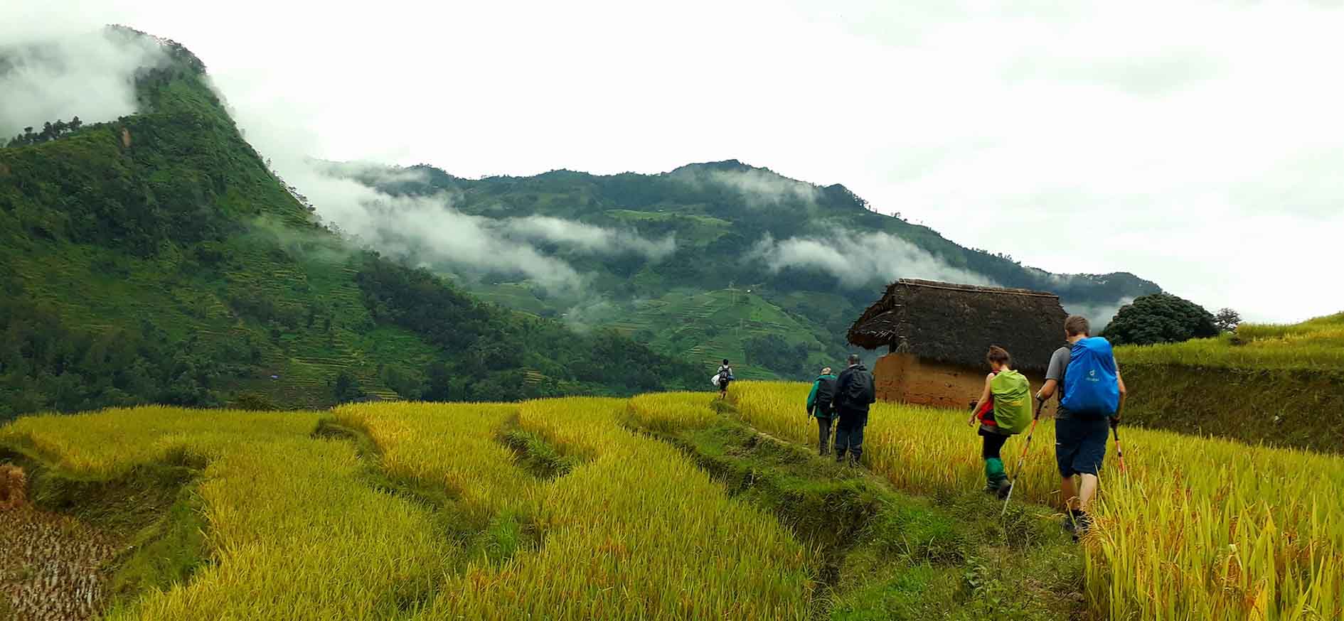 Randonnées aux plus belles rizières du Nord 12 jours