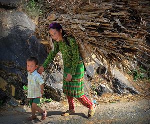 Ramassage du bois comme combustible à Ha Giang