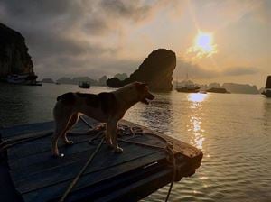 Vie flottante dans la baie d'Halong