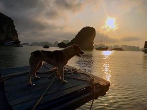 La baie d'Halong au crépuscule