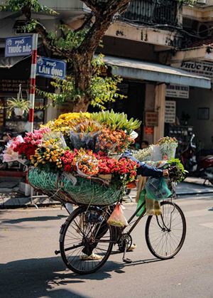 Une vendeuse ambulante de fleur à Hanoi