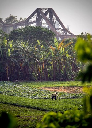 Espace vert au-dessous du pont Long Bien à Hanoi 