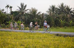 Ballade à vélo à la campagne paisible à Hoi An 