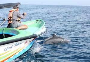 Observation des dauphins à Kalpitiya