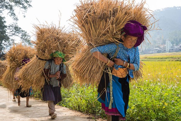 Le travail des femmes du village Pan Hou
