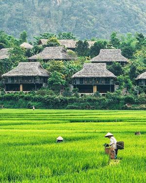 Un ecolodge à Mai Chau