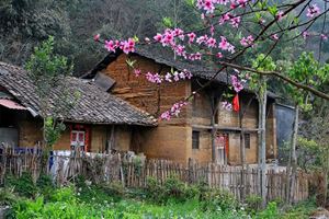 Maison typique à Ha Giang