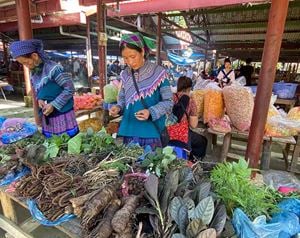 Vendeuses des herbes médicinales dans un marché local 