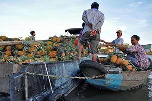 La vente des fruits sur le fleuve Mékong