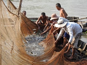 La pêche dans le delta Mékong