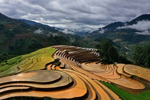 Les rizières en terrasse au Nord Vietnam 