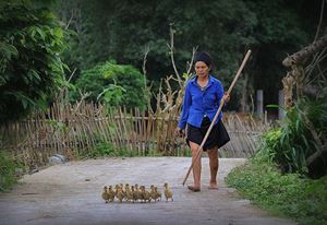 Vie quotidienne, Nord Vietnam 