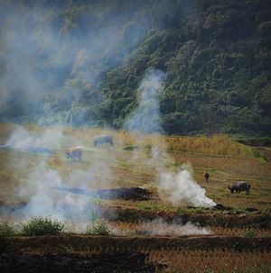 Les paysages paisibles à Bac Ha