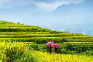 Circuit Bac Ha randonnées 4 jours