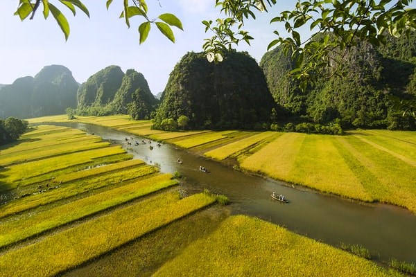 Baie d’Halong terrestre, Ninh Binh