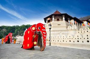 Le temple de la Dent à Kandy, sanctuaire sacré abritant la précieuse relique du Bouddha.