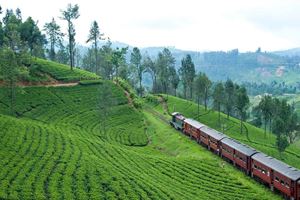 Le trajet en train au Sri Lanka est l'un des plus beaux du monde !