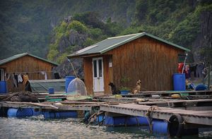 Village flottant dans la baie d'Halong