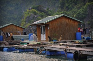 Un village flottant sur la baie d'Halong