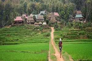 Visite du village des Thaïs blancs