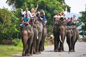 Balade à dos d'éléphant, Tay Nguyen, Vietnam