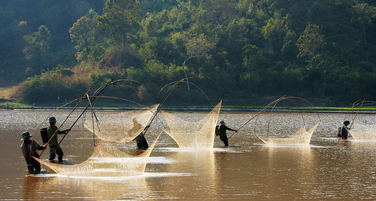 Buon Ma Thuot - Da Lat 3 Jours